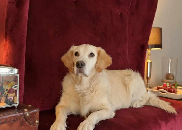 Szálloda Klemm - 3*